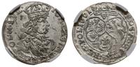 szóstak 1661 TT, Bydgoszcz, moneta w pudełku NGC