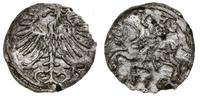 denar 1556, Wilno, małe cyfry daty, pięknie zach