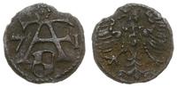 denar 1571, Królewiec, rzadki, ciemna patyna, Ne