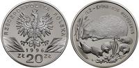 20 złotych 1996, Warszawa, Jeż - Erinaceus europ