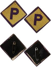 zestaw 2 oznak P (Pole), Na żółtym tle fioletowa