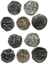 zestaw 5 denarów koronnych, Kraków, w skład zest