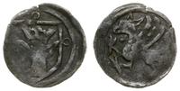 denar XIV-XV w., Aw: Na tarczy ukoronowana głowa