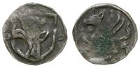 denar XIV-XV w., Aw: Na tarczy ukoronowana głowa