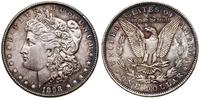 1 dolar  1898, Filadelfia, typ Morgan, srebro pr
