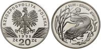 20 złotych 1995, Warszawa, Sum - Silurus glanis,