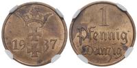 1 fenig 1937, Berlin, moneta w pudełku NGC 58840