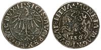 Polska, półgrosz litewski, 1550
