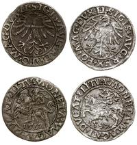 zestaw: 2 x półgrosz litewski 1547, 1562, Wilno,