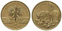 2 złote 1999, Wilk, nordic gold, delikatna patyn