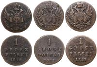 Polska, zestaw: 3 x 1 grosz polski, 1816, 1817, 1818