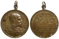 Austria, medal na pamiątkę manewrów wojskowych na terenie górnych Węgier, 1911