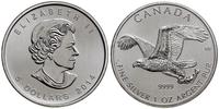 5 dolarów 2014, Winnipeg, Ptaki - Sokół wędrowny