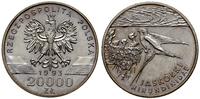20.000 złotych 1993, Warszawa, Jaskółki (Hirundi