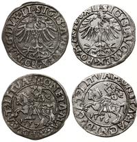 Polska, zestaw: 2 x półgrosz litewski, 1556 i 1557