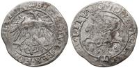grosz 1536, Wilno, litera F pod Pogonią, moneta 