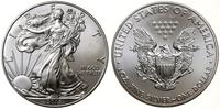 1 dolar 2013, West Point, typ Walking Liberty, s