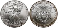 1 dolar 2001, West Point, typ Walking Liberty, s