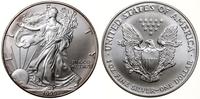 Stany Zjednoczone Ameryki (USA), 1 dolar, 1999