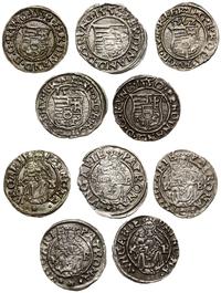 lot 5 x denar, 1538, 1550, 1558, 1562 oraz 1565 