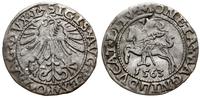 Polska, półgrosz, 1563