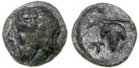 brąz ok. III w. pne, Aw: Głowa brodatego Dionizo