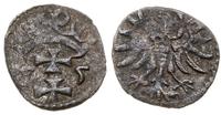 denar 1555, Gdańsk, patyna, CNG 81.VII, Kop. 735