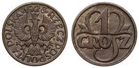 1 grosz 1928, Warszawa, patyna, moneta w pięknym