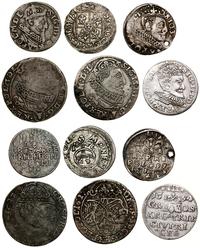 zestaw 6 monet króla Zygmunta III Wazy, w zestaw