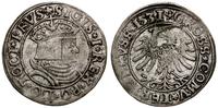 grosz 1531, Toruń, końcówki legendy PRVS / PRVSS