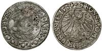 grosz 1534, Toruń, popiersie z długimi włosami i