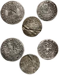 zestaw 3 monet, w zestawie: grosz 1530 Toruń Zyg