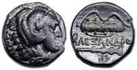 Grecja i posthellenistyczne, brąz, 334–323 pne