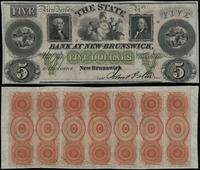 5 dolarów (blanco) 18... (ok. 1860), seria A, ug