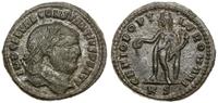 follis 305-306, Cyzicus, Aw: Głowa władcy w praw