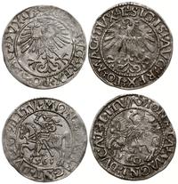 zestaw: 2 x półgrosz litewski 1560 i 1561, Wilno