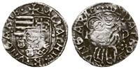 denar ok. 1490, Kremnica, Aw: Tarcza herbowa, + 