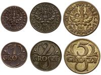 Polska, zestaw: 1, 2 i 5 groszy, 1923