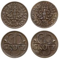 Polska, zestaw: 2 x 1 grosz, 1925, 1927