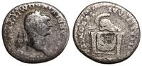 denar 80-81, Rzym, Aw: Głowa cezara w wieńcu lau