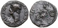 as 37-38, Rzym, Aw: Głowa cesarza w lewo, C CAES