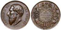 medal nagrodowy 1889, Aw: Głowa władcy w lewo, n