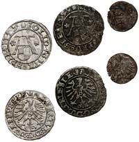 zestaw 3 monet, Królewiec, denar 1558 oraz szelą