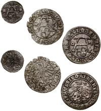 zestaw 3 monet, Królewiec, denar bez daty oraz s