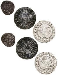 lot 3 monet, Królewiec, denar 1563, szeląg 1529 