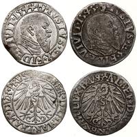 zestaw 2 x grosz 1544, 1545, Królewiec, razem 2 