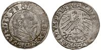 grosz 1558, Królewiec, rzadki rocznik, Slg. Mari