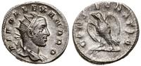 antoninian pośmiertny 250-251, Rzym, Aw: Popiers