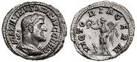 denar 235-236, Rzym, Aw: popiersie cesarza w pra