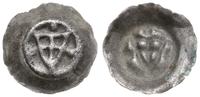 brakteat ok. 1307–1318, Tarcza zakonna, wokół tr